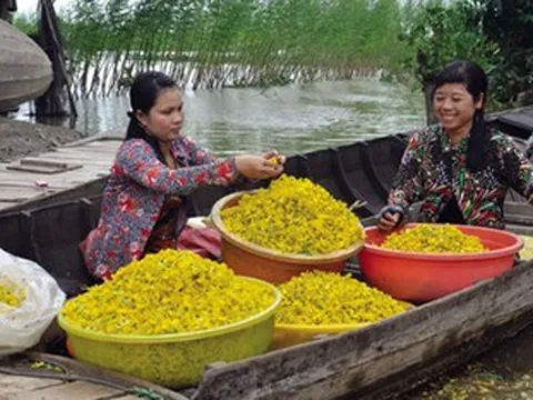 Miền Tây - Mùa con nước lớn
